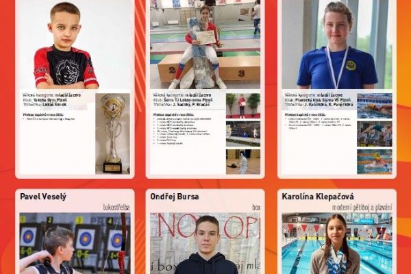 Výstava Sportovec Plzně 2024