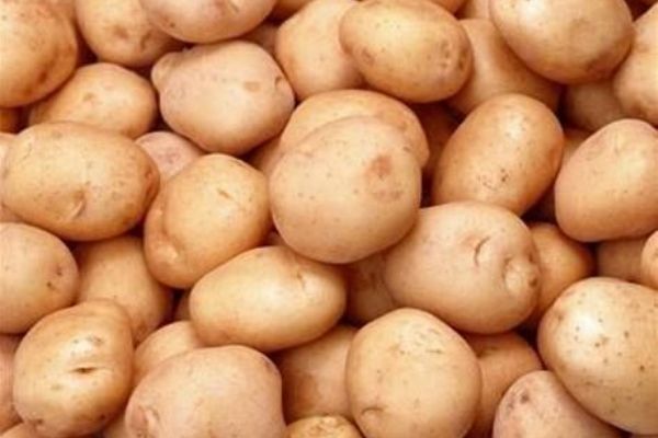 Velhartice lákají na bramboromat