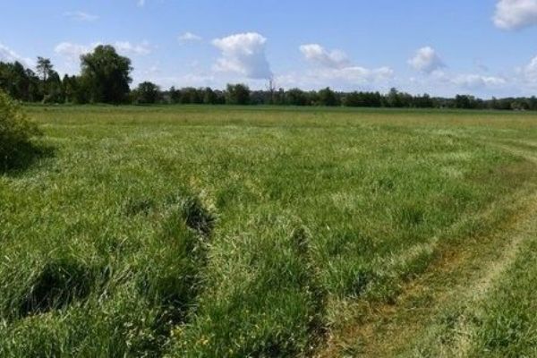 Nová cyklostezka v Plzni - gondolový most a trasa bez kopců