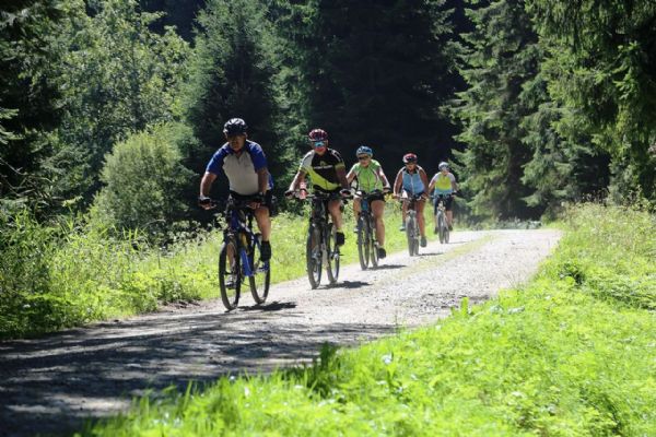 Šumava omezuje trasy kvůli hrozbě slintavky a kulhavky