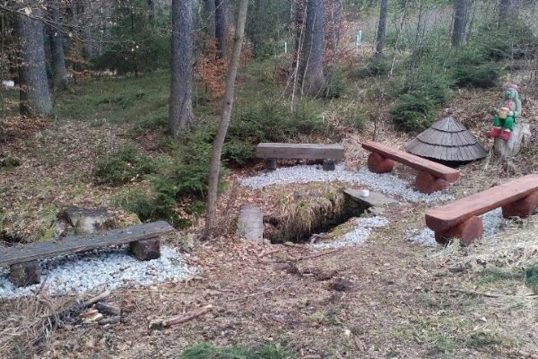 Pracovníci Lesů ČR zvelebili okolí dvou studánek na Jihlavsku