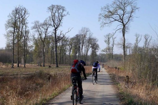 Olomoucký kraj posiluje cyklostezky: Investice 150 milionů přinesly 150 km tras
