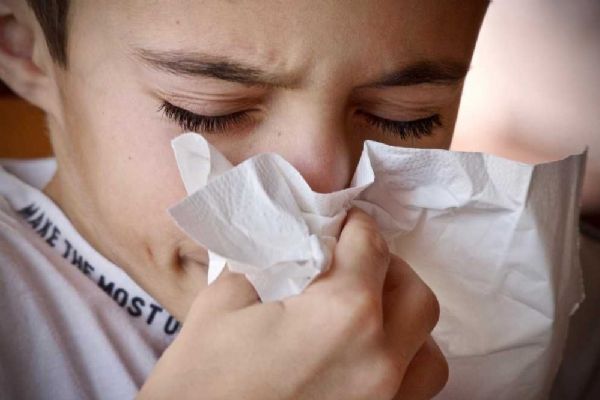 Respirační onemocnění klesají v JČ kraji, ale stoupají v Táboře a Písku