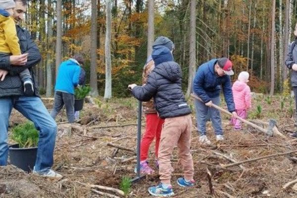 Plzeň zve na Den pro les: sázení stromů a zábava pro rodiny