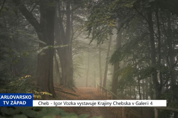 Cheb: Igor Vozka vystavuje Krajiny Chebska v Galerii 4 (TV Západ)