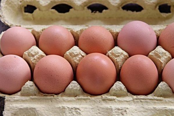 Chodov: Odcizil téměř 250 slepičích vajíček