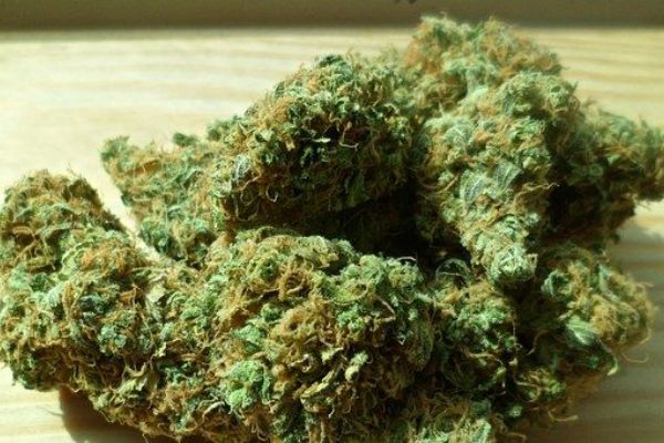 Habartov: Muž policistům vydal téměř 70 gramů marihuany