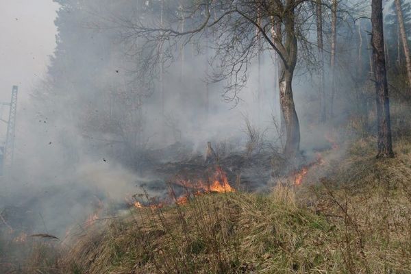 Hasiči každý den likvidují požáry trávy či lesních porostů