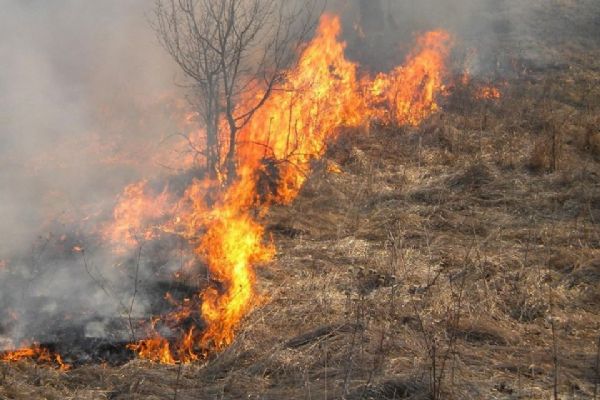 Horké a suché počasí navyšuje počty požárů