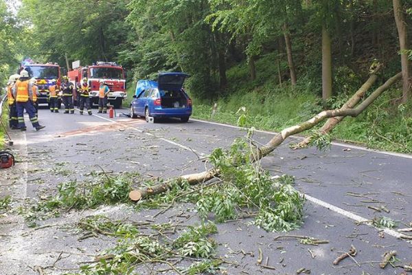 Stráž nad Ohří: Osobní vozidlo narazilo do padlého stromu na silnici