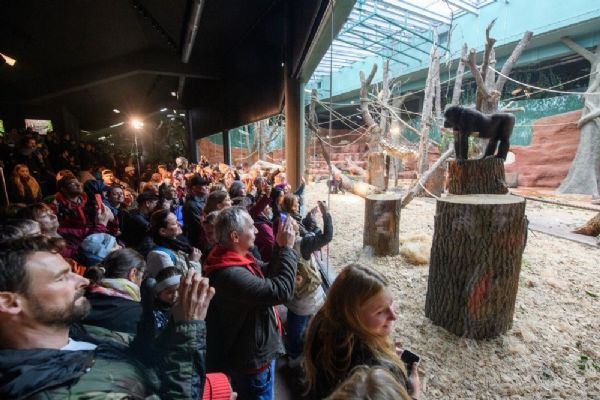 Rezervace Dja v Zoo Praha byla konečně slavnostně otevřena