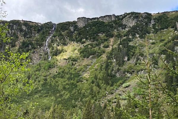 Bujná vegetace ohrožuje vzácné rostliny v Schustlerově zahrádce
