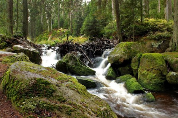 Šumava láká na nové tratě