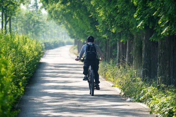 V Trojanovicích vznikají nové cyklostezky: bezpečnost a ekologie za 120 miliónů
