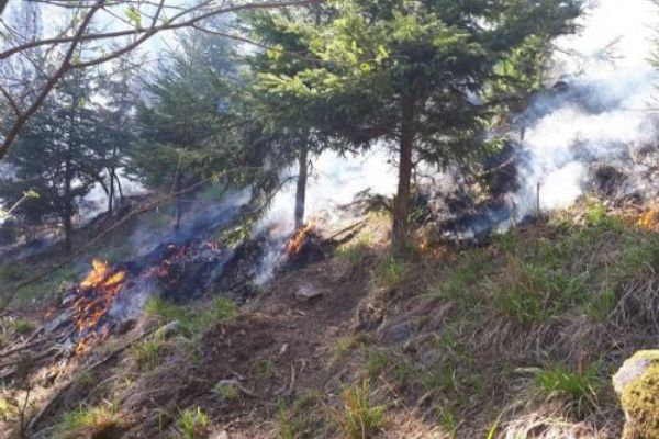 Milíkov: Včerejší požár lesa. Vyhlášen byl III. stupeň požárního poplachu