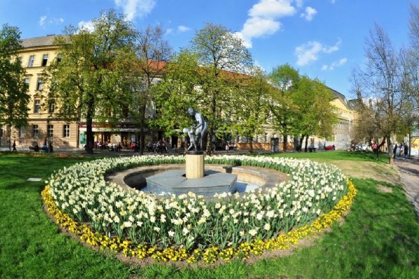 Údržba zeleně v Plzni stojí miliony, lidé ale kytky ze záhonů kradou 