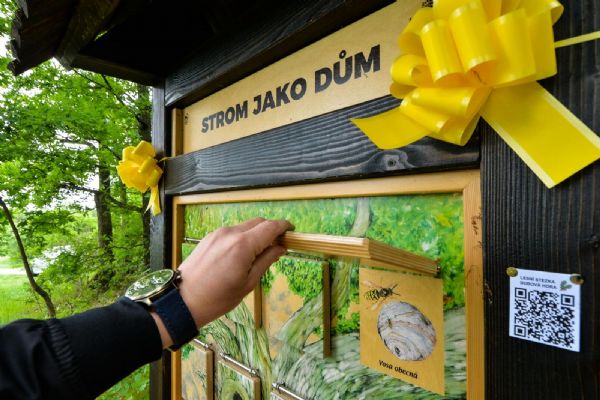 Na Dubové hoře v Liticích vznikla naučná stezka o lese a životě v něm