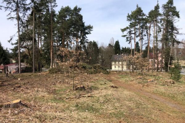 Pět set nových stromků omladí park v Konstantinových Lázních