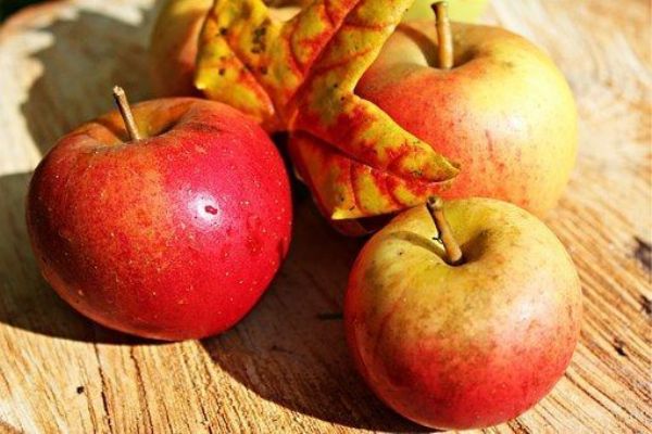 Sadaři v kraji pláčou, drtí je polské ceny jablek