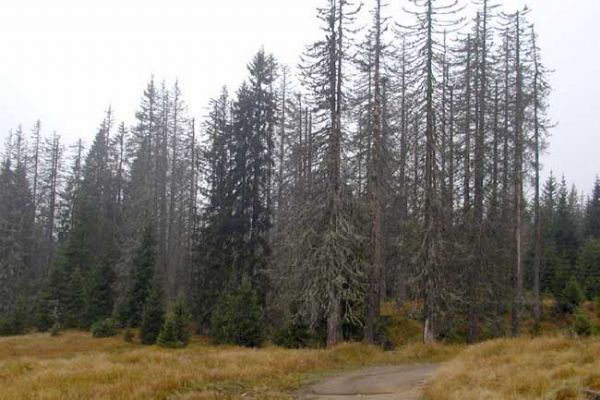 Správa NP Šumava stvrdila spolupráci s Užanským národním parkem