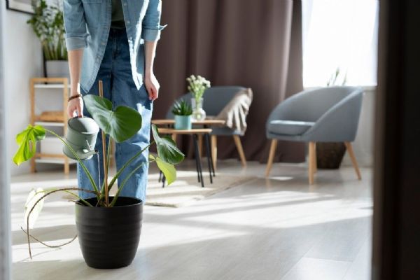 8 tipů, jak udržovat čisté a zdravé prostředí a atmosféru v domácnosti