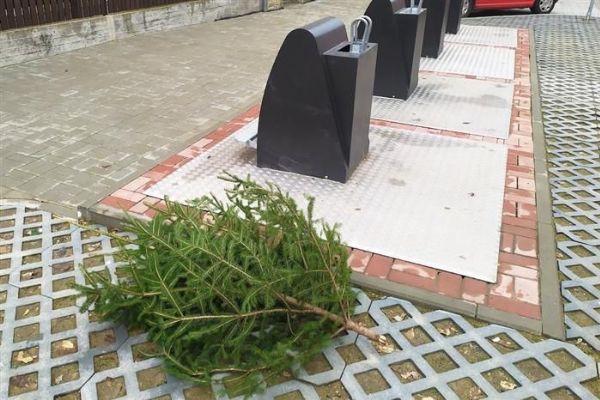 Cheb: Vánoční stromky stačí odložit k popelnicím