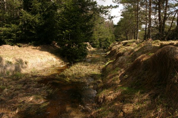 Čtvrtstoletí Národního parku Šumava – Revitalizace mokřadů zmírňují dopady klimatických změn 