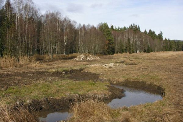 Obnovou drobných šumavských mokřadů a vodních toků proti suchu  