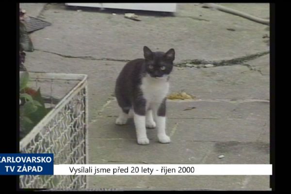 2000 – Cheb: Azylový dům pro kočky nevznikne (TV Západ)
