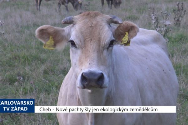 Cheb: Nové pachty šly jen ekologickým zemědělcům (TV Západ)