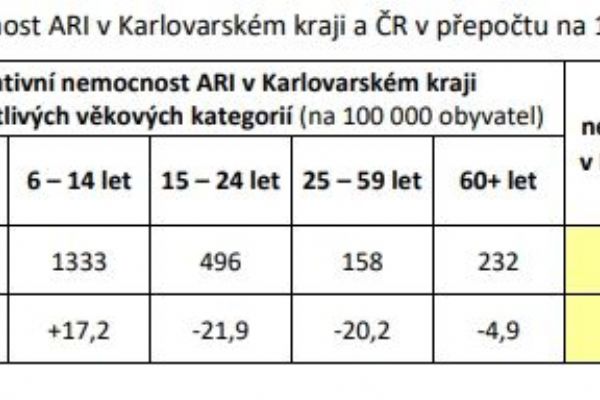 Karlovarský kraj: Počet nemocných respirační infekcí mírně klesá