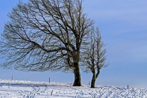 Meteorologové varují před silným větrem, sněhovými jazyky a novou sněhovou pokrývkou