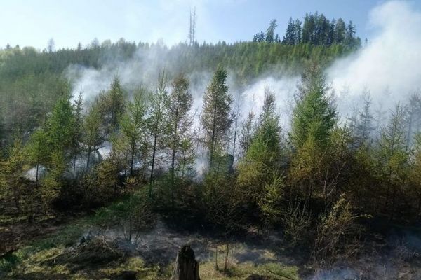 Šemnice: Požár lesního porostu likvidovalo pět jednotek hasičů