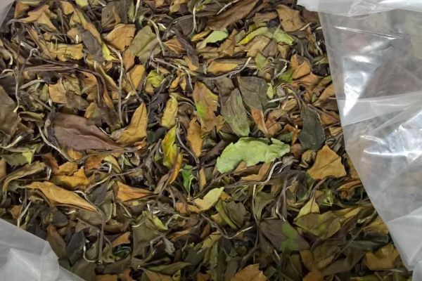 SZPI zadržela čínské čaje s až 120krát překročeným limitem pro obsah pesticidů