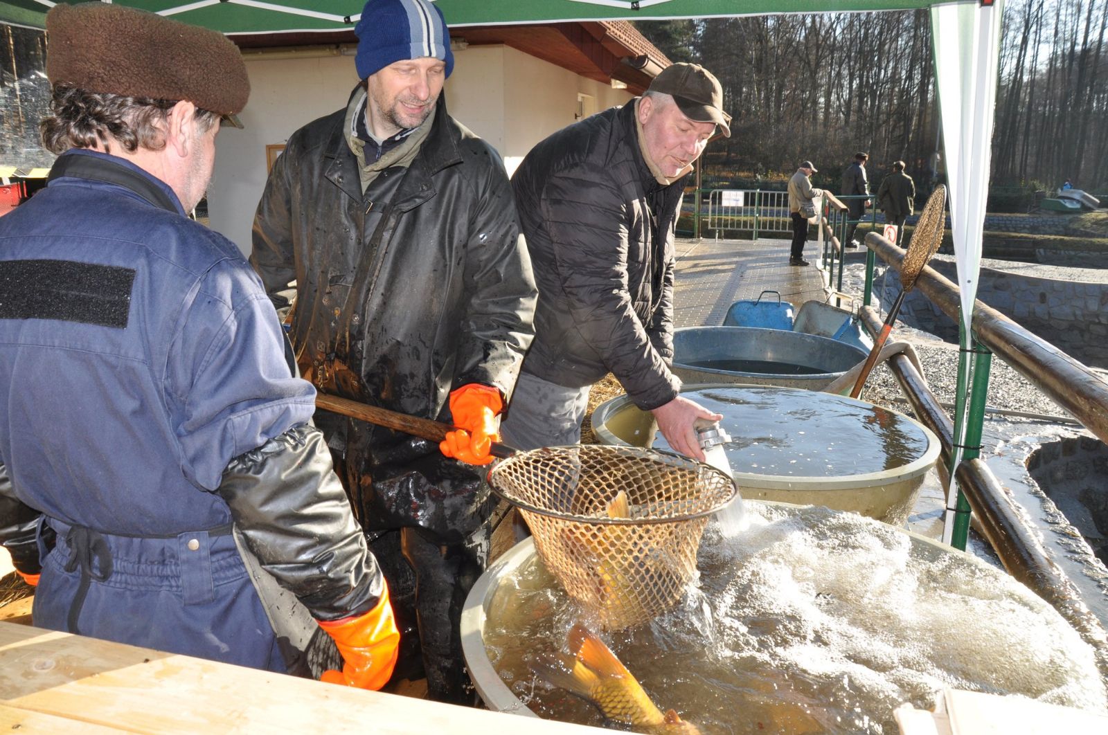 Plzeň nabídne na sádkách velikonoční ryby. Chce oživit tradici