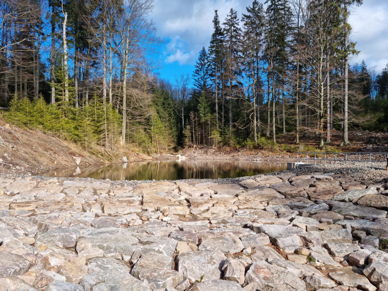 V brdských lesích vznikly další dvě nádrže, mají zlepšit vodní bilanci i biodiverzitu