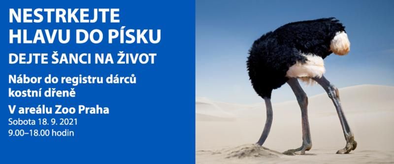 V rámci oslav Světového dne dárců kostní dřeně se v Zoo Praha budou moci do registru hlásit noví zájemci