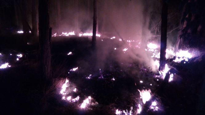 Požár trávy Račice