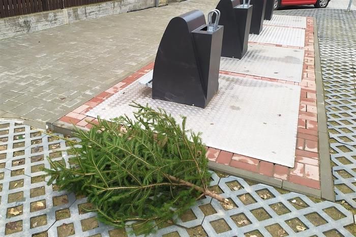 Cheb: Vánoční stromky stačí odložit k popelnicím