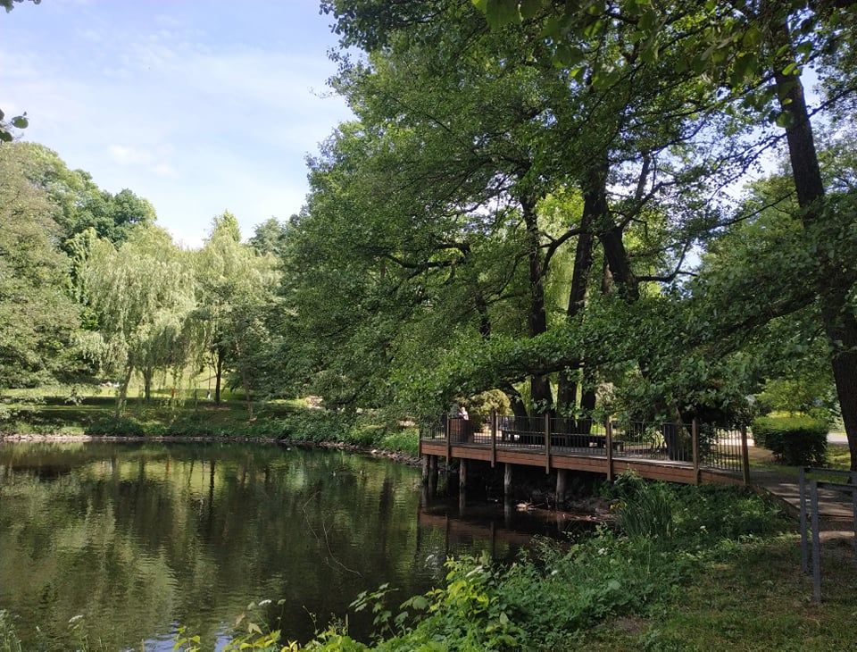 Sokolov: Město obdrželo dotaci na na ošetření stromů v parcích