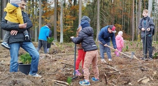 Plzeň zve na Den pro les: sázení stromů a zábava pro rodiny