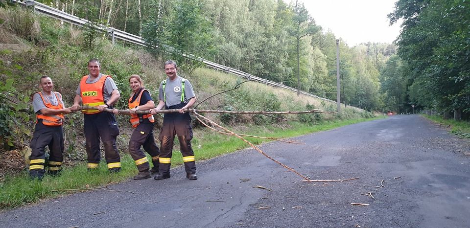 Boč, Srní: Hasiči byli vysláni k odstranění padlého stromu na silnici