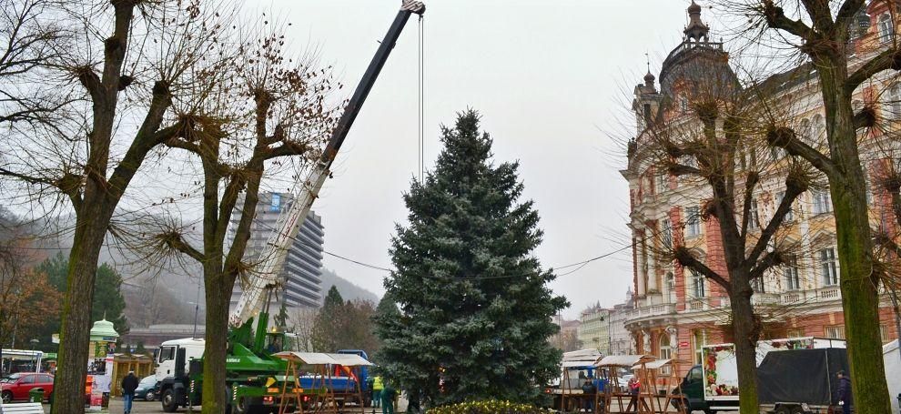 Karlovy Vary: Město hledá strom na vánoční trhy