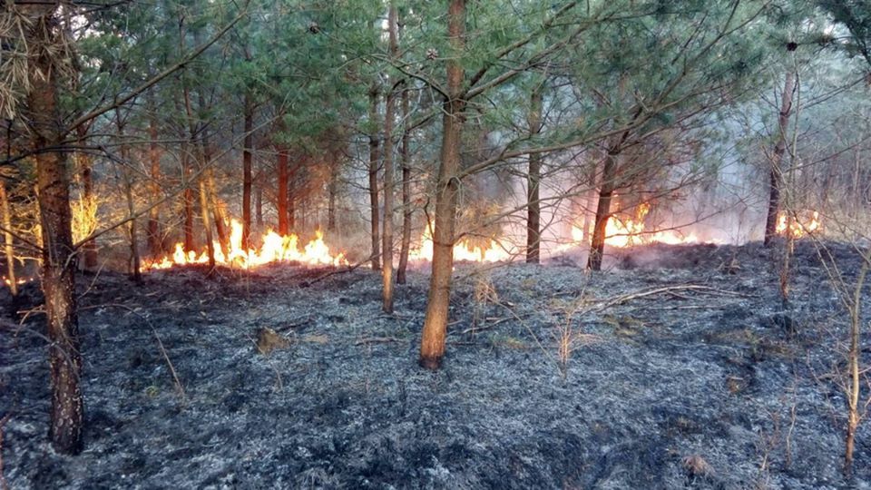 Lomnice: Hasiči likvidovali požár trávy a dřevin