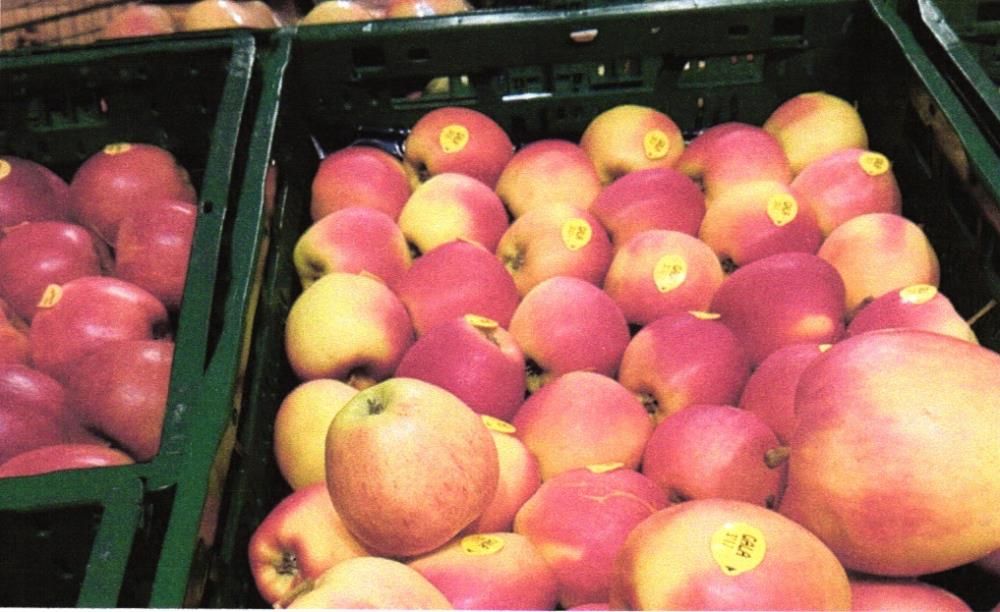 Sadařům ve Vranově zbývají loňská jablka