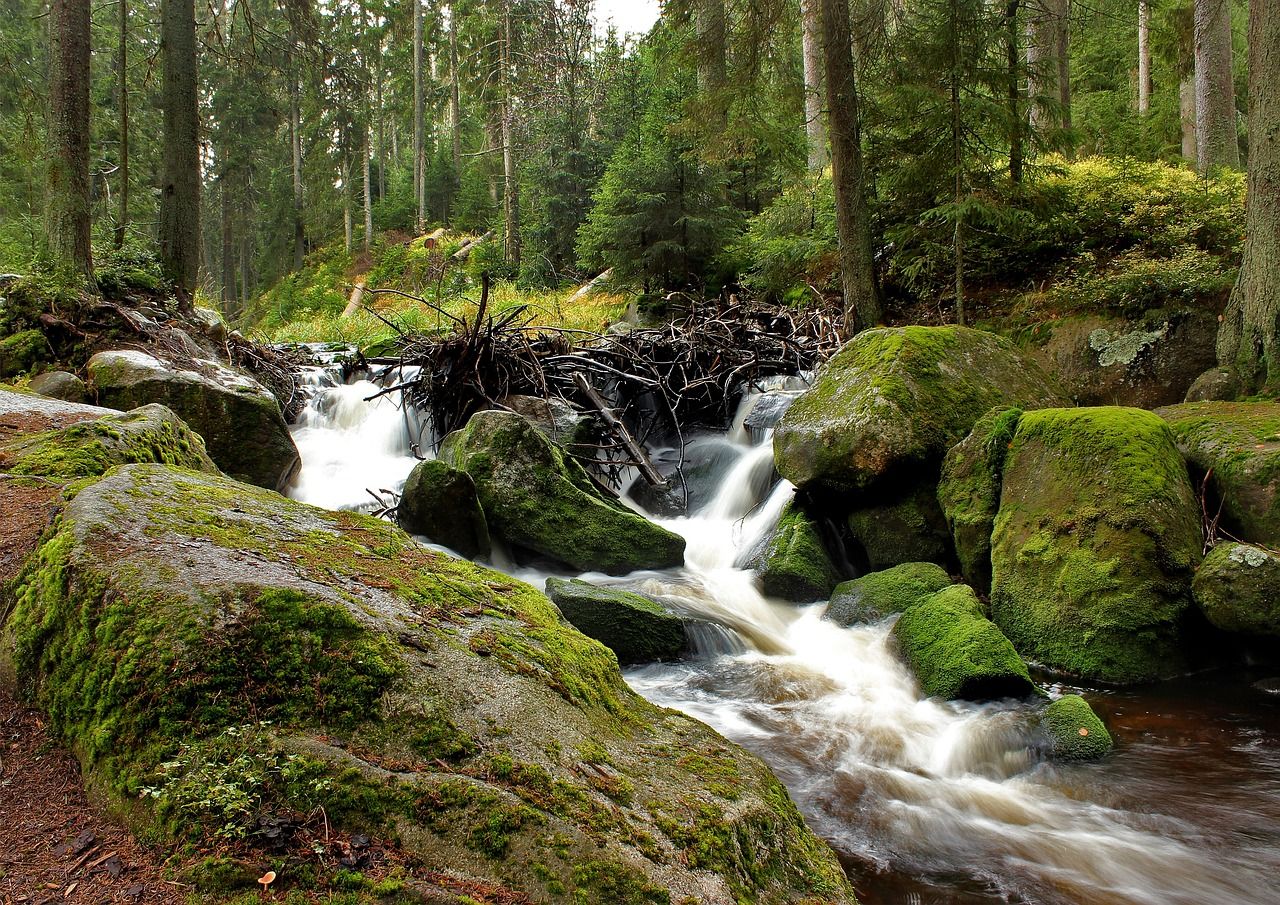 Šumava láká na nové tratě
