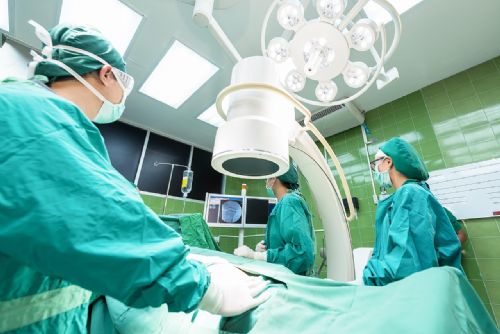 Průlom v medicíně - prasečí plíce úspěšně transplantována do člověka