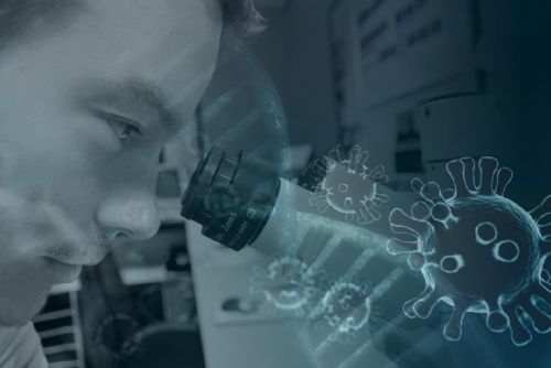 cDC1 buňky klíčem k úspěšní transplantaci orgánů