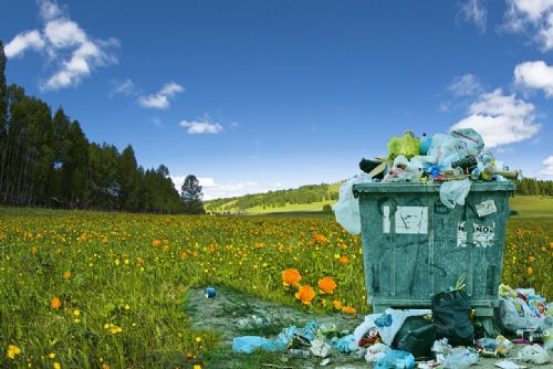 Ekologická transformace - klíč k podnikatelskému úspěchu
