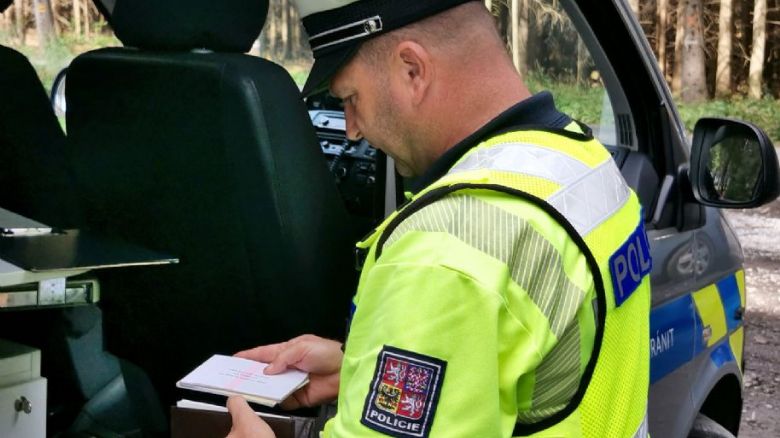 Slepice zavinila havárii hyundaie